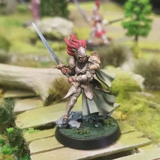 Alahan paladin 3D printed miniature painted.
