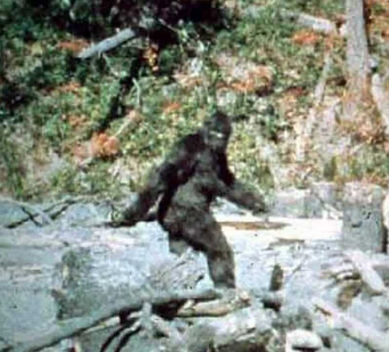 Bigfoot photographed in Colorado.
