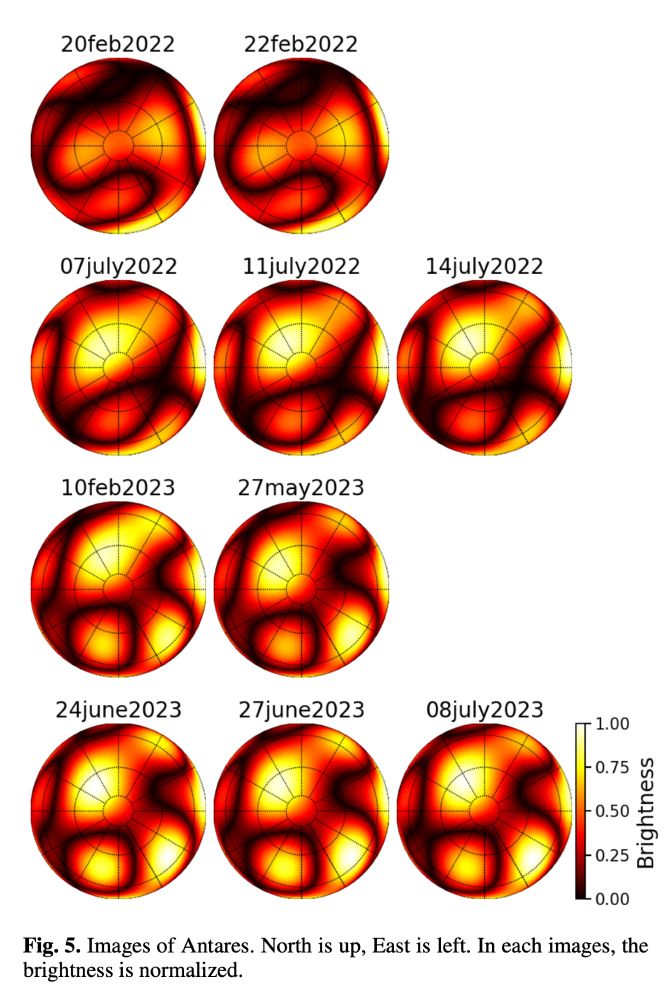 Relative brightness maps of Antares over the course of a year, showing the changing brightness and shapes of convective cells in the stellar photosphere.