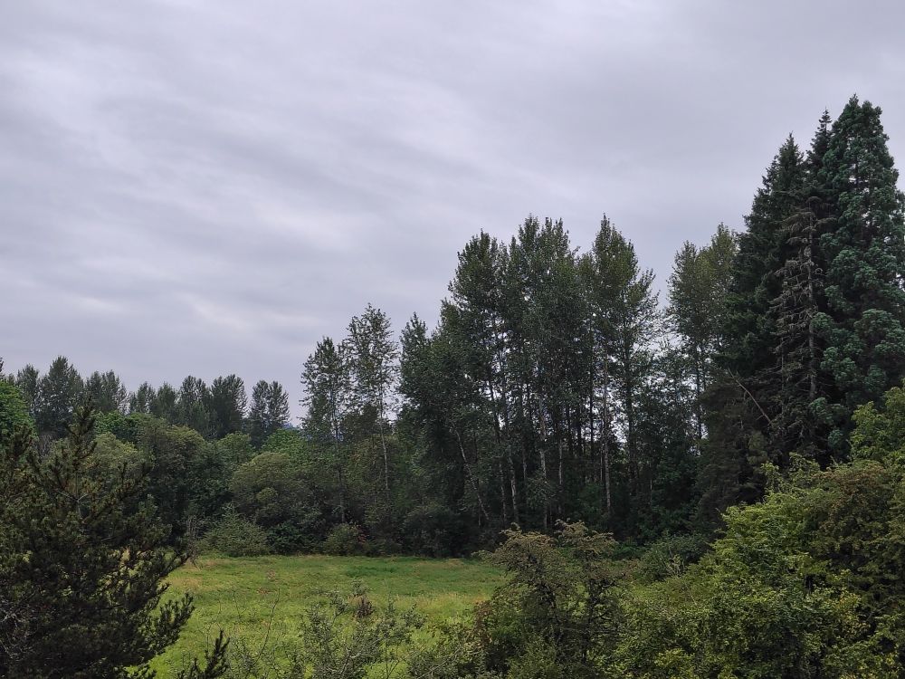 Snoqualmie Valley Trail