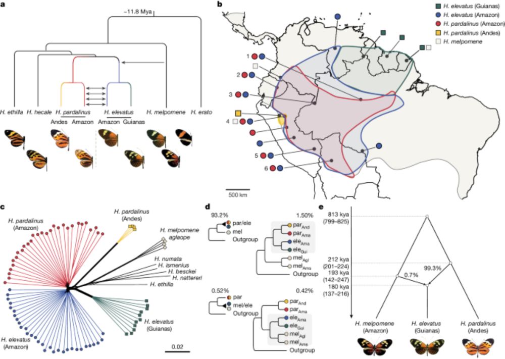 Hybrid speciation driven by multilocus introgression of ecological traits - Nature