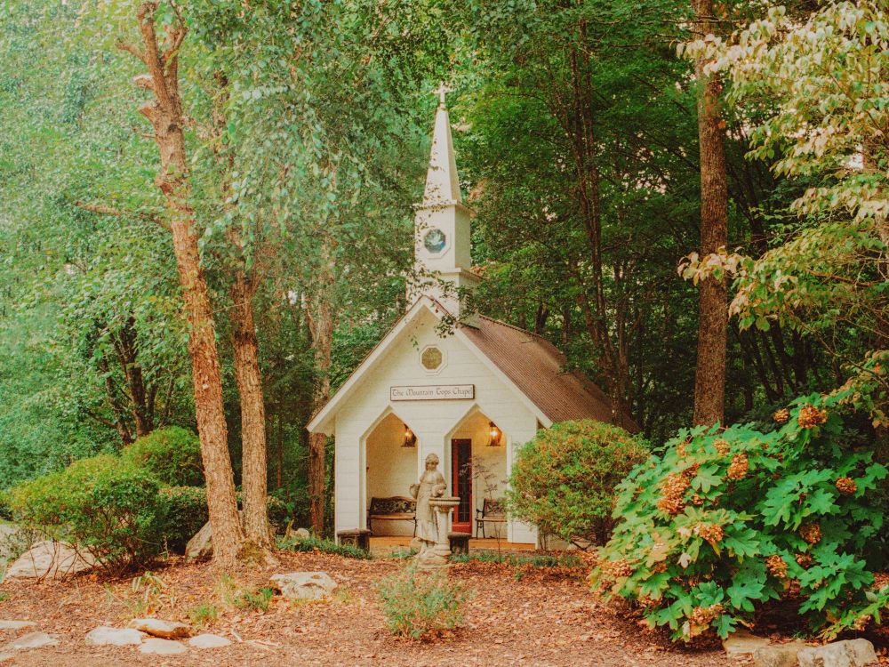 A film photo of a small chapel in the woods #art #photography #filmphotography #leica #lomography
