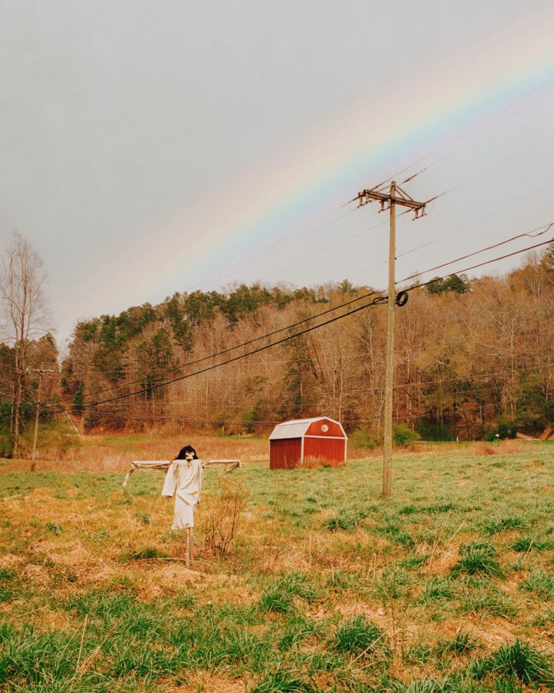 A photo of a scarecrow in a field #art #photography #filmphotography #leica #lomography