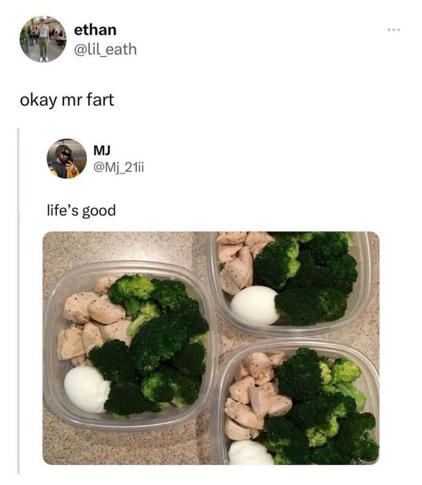 MJ: life's good (picture of meal prepped chicken, egg and broccoli)
Ethan: okay mr fart