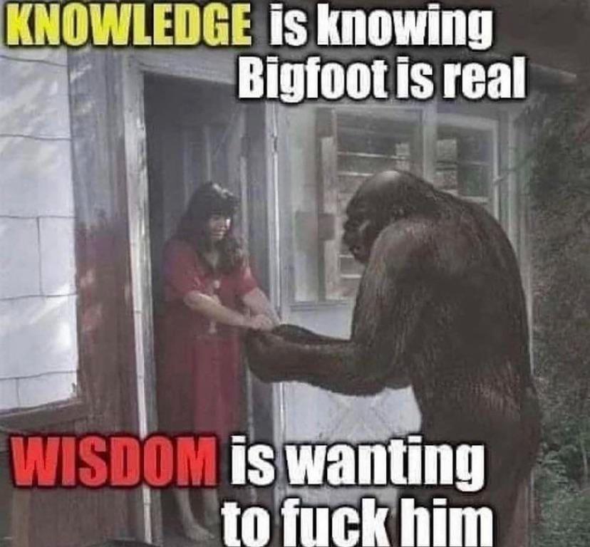 Knowledge is knowing Bigfoot is real
Wisdom is wanting to fuck him 