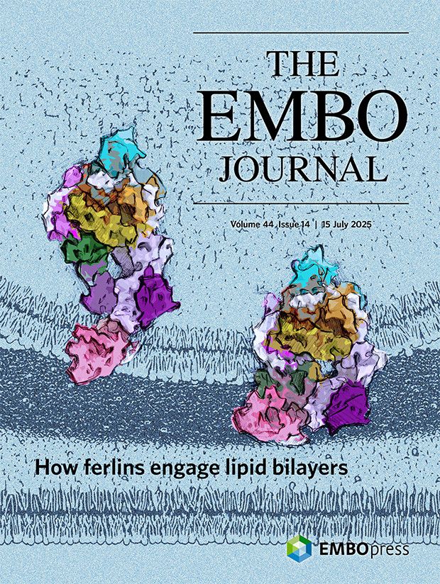 Scientific image by Constantin Cretu, Tobias Moser, and Julia Preobraschenski