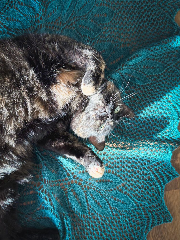 A tortie cat on a green knit shawl with lace leaves. 