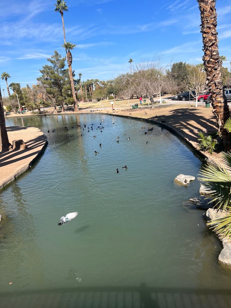 Took this walking over a bridge.