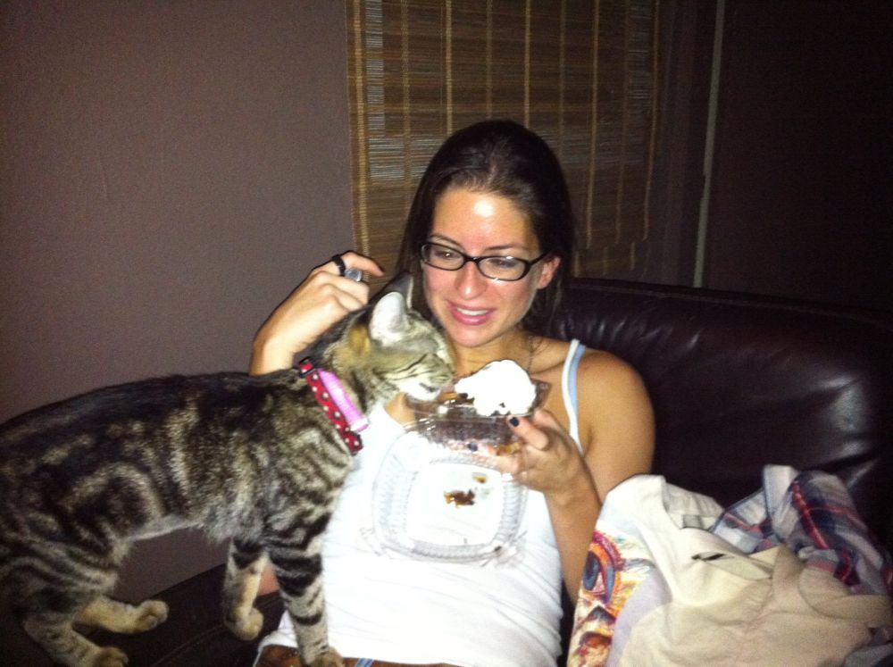 Tabby cat is licking whipped cream from a brownie dessert. Her human smiles while looking down at the scene: the feline overlord has been appeased. 