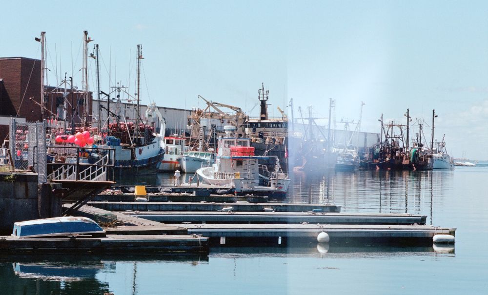 Photograph of Gloucester fishing boats