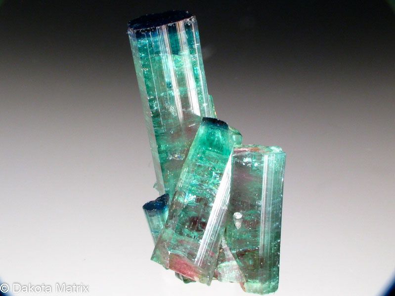 A cluster of elongated green and blue tourmaline crystals with sharply defined, striated sides. The gradient shifts from deep teal-blue at the crystal tips to vibrant green at the midsections, with subtle hints of pink at the base where the crystals emerge from the matrix. The translucent surfaces allow light to pass through, revealing internal textures and enhancing the luminous colour contrast.