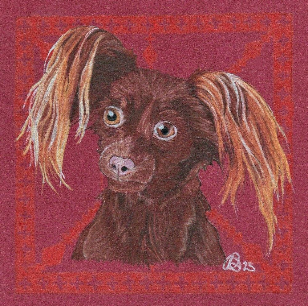 Colored pencil drawing of a brown dog with long hair on ears. Red background 