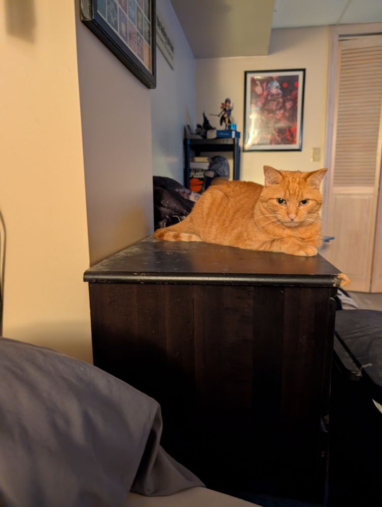 Orange tabby cat laying on the night stand.