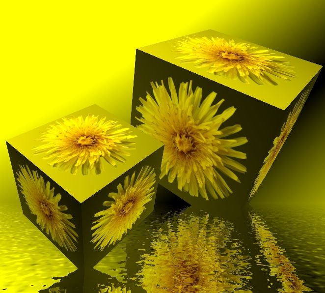 dandelion
#povray #photo #floral