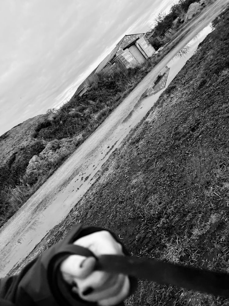 Meine Kamera hat sich selbstständig gemacht und schräges Bild von meiner Hunderunde aufgenommen. Vorne im Bild ist verschwommen eine linke Hand in einer schwarzen Jacke mit dunkel lackierten Fingernägeln und einer schwarzen Leine zu sehen, die über dunklen Boden läuft. Da ist eine riesige Pfütze, in der sich ein größeres, altes, kaputtes Gebäude spiegelt. Schwarz-weiß Aufnahme. 