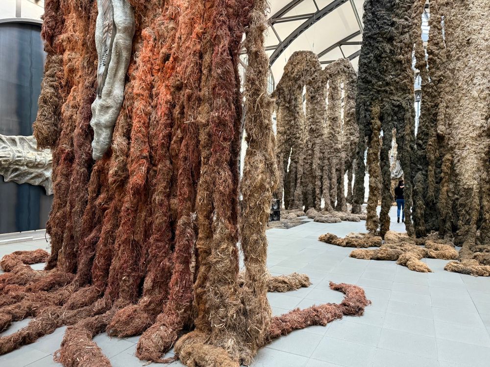 Klára Hosnedlovás Installation „embrace“ in der historischen Halle des Hamburger Bahnhof. 
Bis zu neun Meter hohe Objekte aus Flachsfasern in unterschiedlichen Tönen erstrecken sich Richtung Decke und schlängeln wie dicke Wurzeln auf dem Boden entlang. Zwischen einem der Objekte ist eine schwarz gekleidete Frau mit dunklen Haaren zu erkennen.