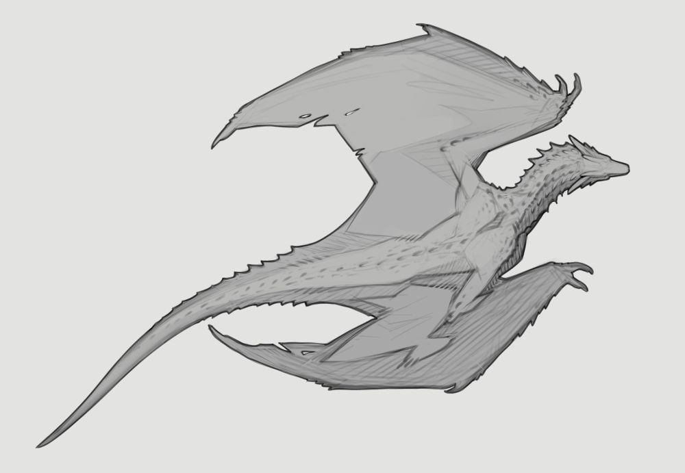 Black and white sketch of a dragon, top view.