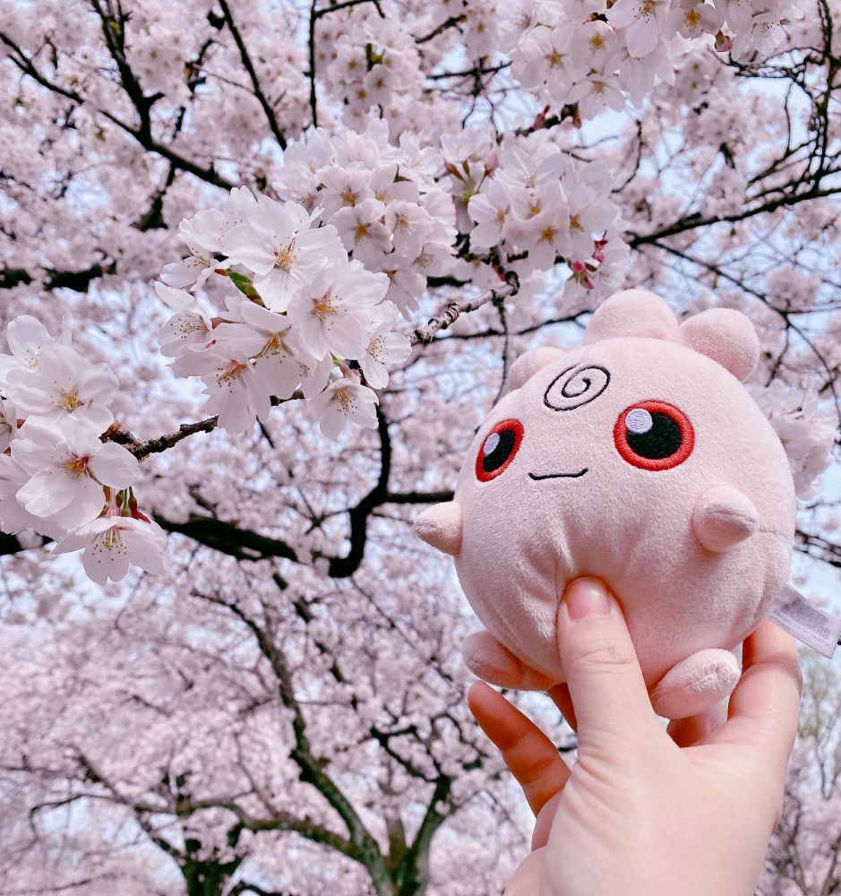 自分と同じ色の桜を見るププリンのぬいぐるみです。