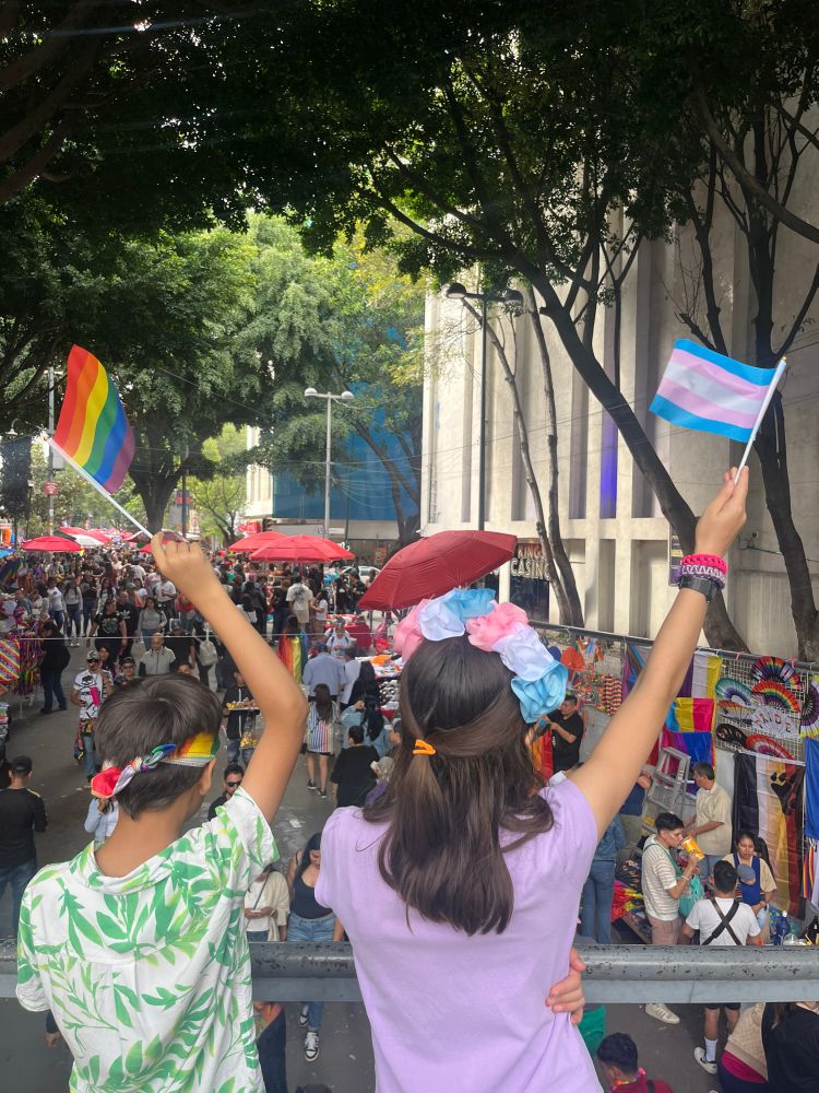 Two kids wave their rainbow and trans flags at a crowd in Mexico City Pride.