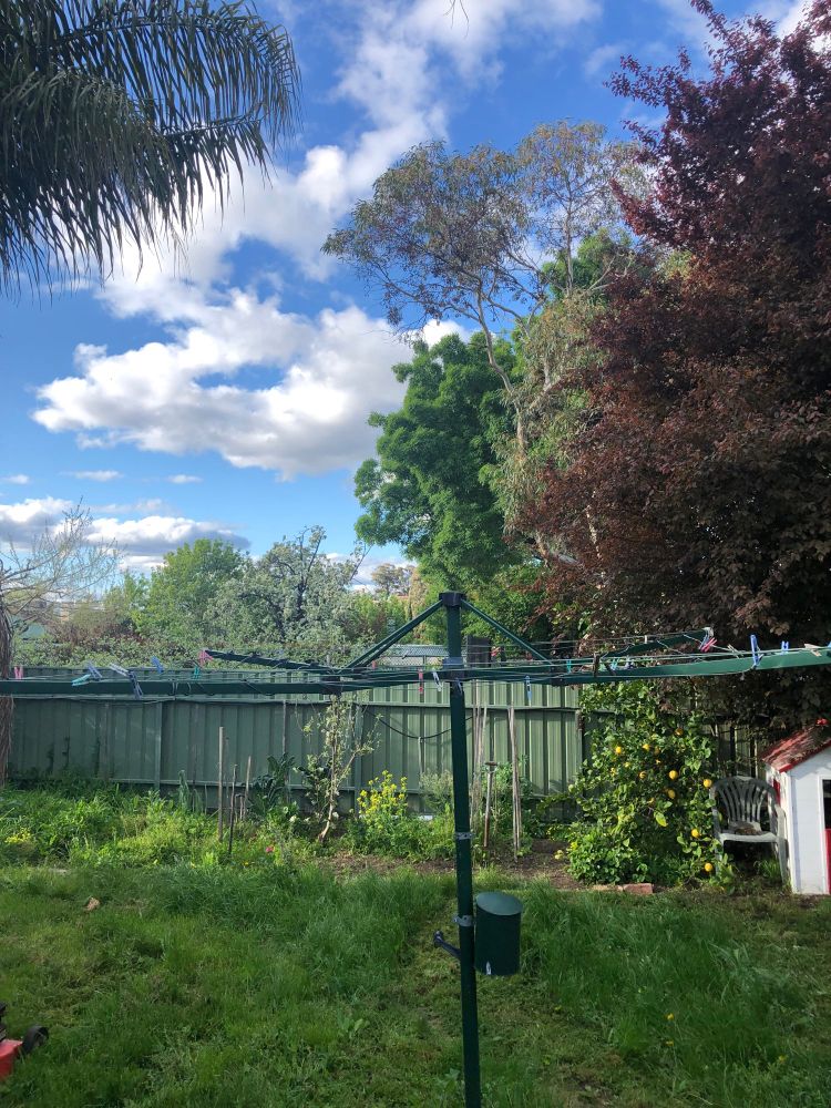 Distant view of suburban gardens and trees in Bendigo, Australia, shows a far away 19th Century space observatory, heritage listed and the most magnificent building. 