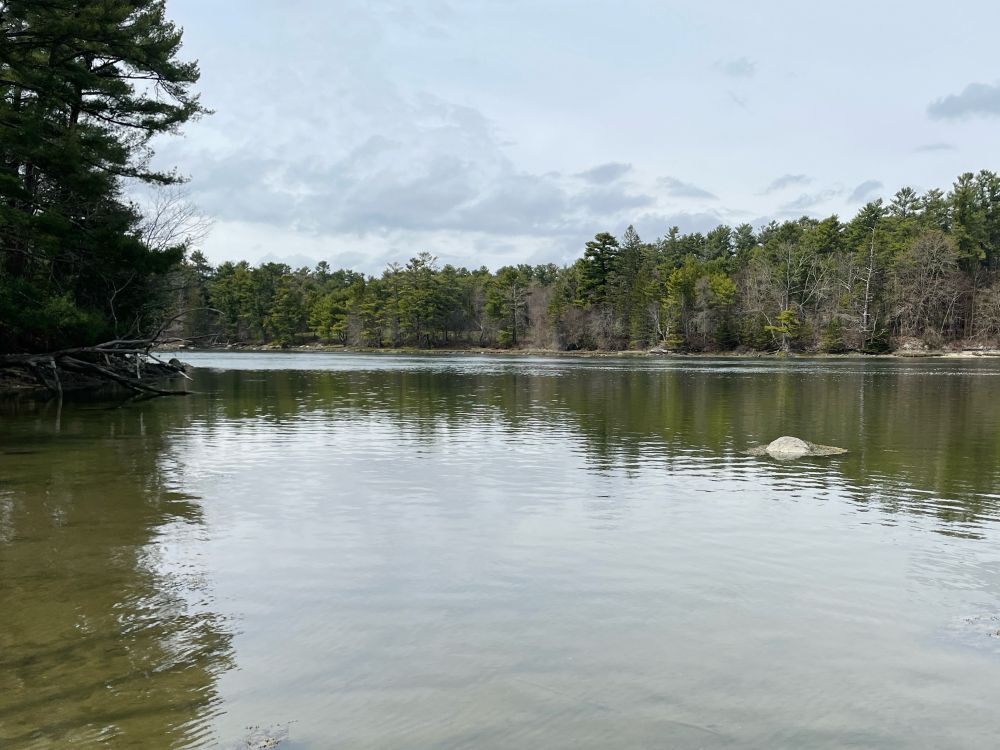 A view up the river. On both sides are pine trees reflected in the water. The water is clear enough in the foreground to see the bottom, which is brown dirt. The sky is greyish blue with some puffy clouds, and the clouds are reflected in the water.