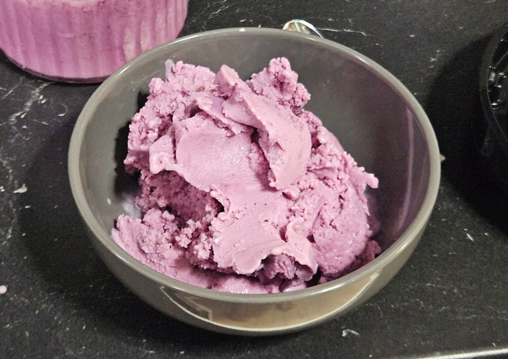 Schüssel mit einer Portion selbstgemachten veganen Blaubeer Frozen Joghurt