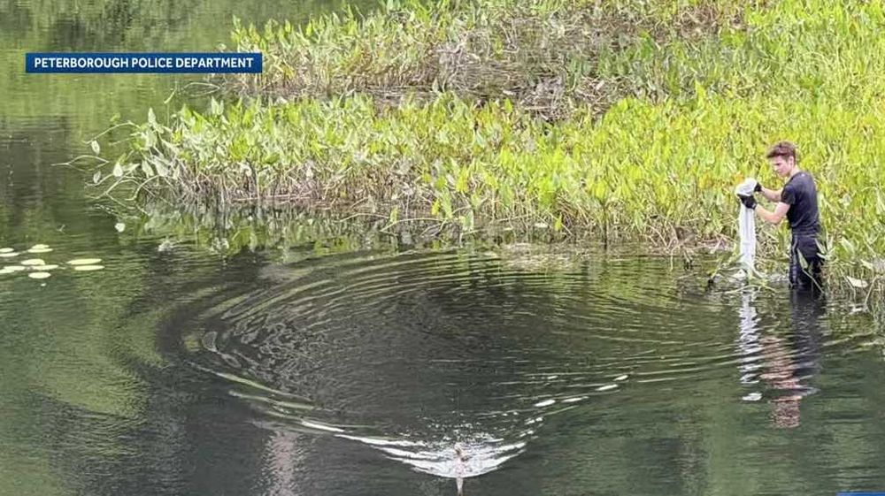 A Peterborough detective helped rescue a bird tangled in fishing line Sunday afternoon at the Edward MacDowell Dam.