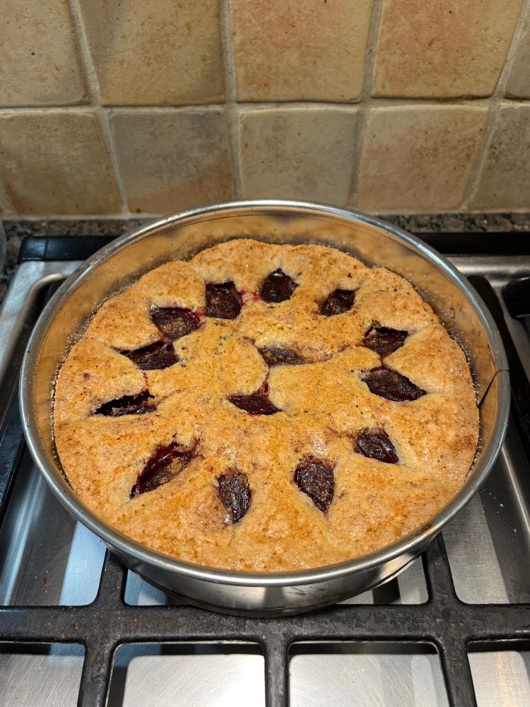 Marion Burros' plum torte in a spring form pan.