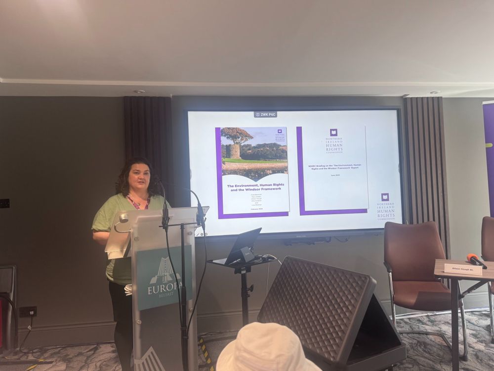Dr Ivanka Antova presents the advice and recommendations of the NIHRC, as set out in our briefing paper.