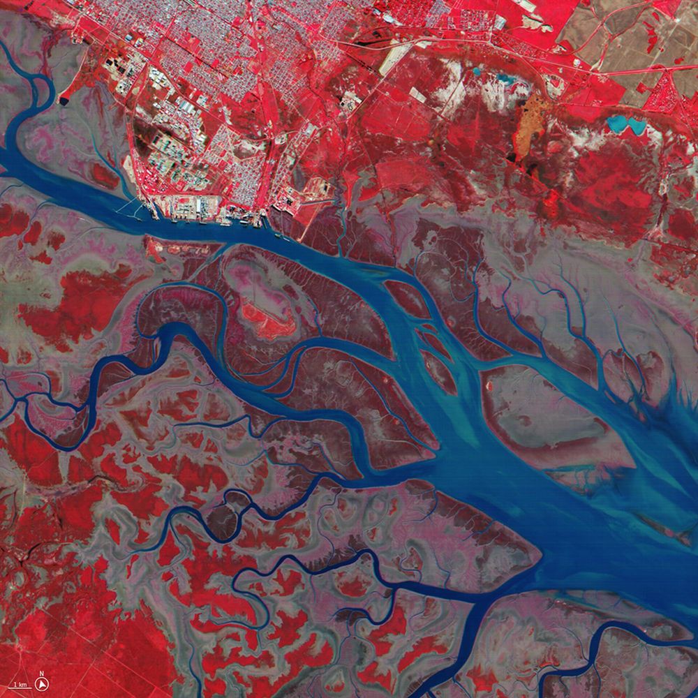 Estuaire de Bahia Blanca, Argentine (crédit ESA)