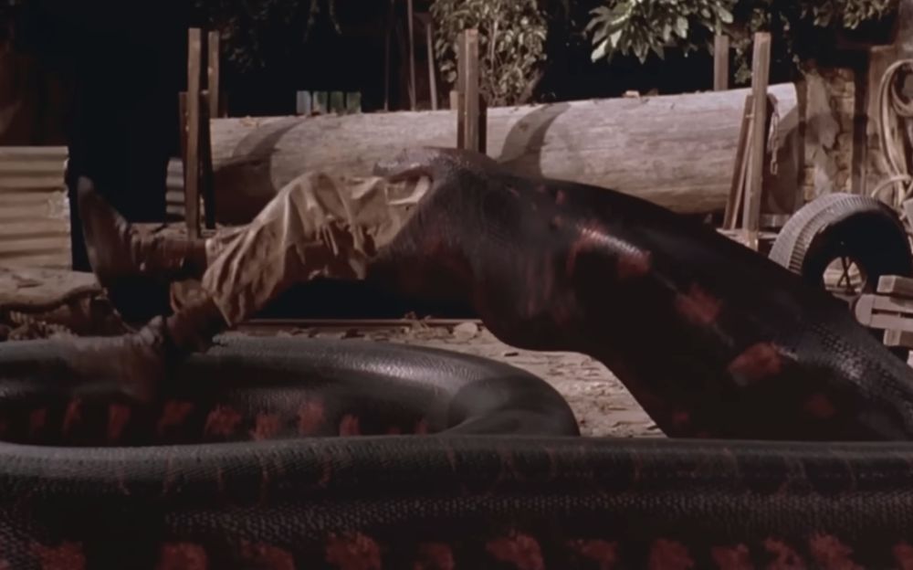 Anaconda swallowing man alive, from the movie Anaconda (1997).
