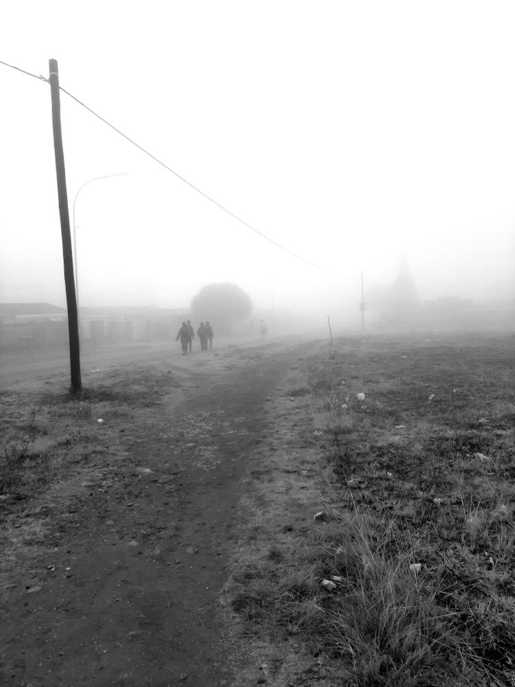 A misty morning. School children walk along a foot path. Trees and communication poles obscured by the haze.