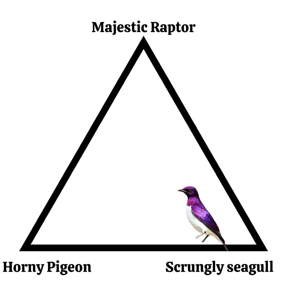 A pyramid with “magestic raptor” at the top, “horny pigeon” at the bottom left, and “scrungly seagull” at the bottom right. There is a purple bird sitting nearly at the bottom right corner.