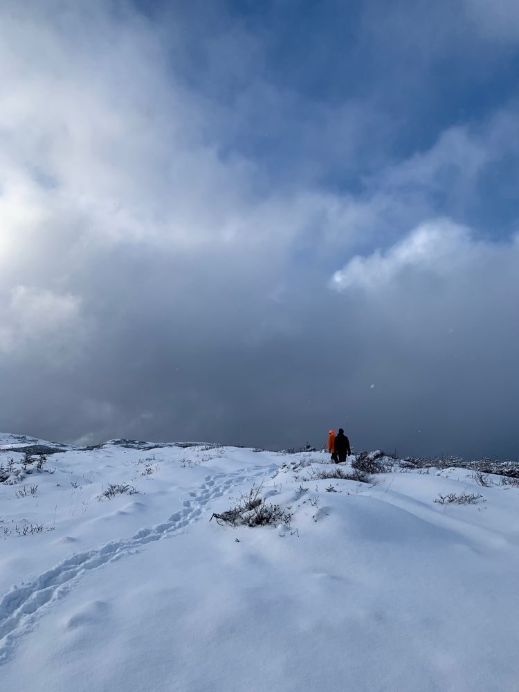 A snowy field with two people in the background.