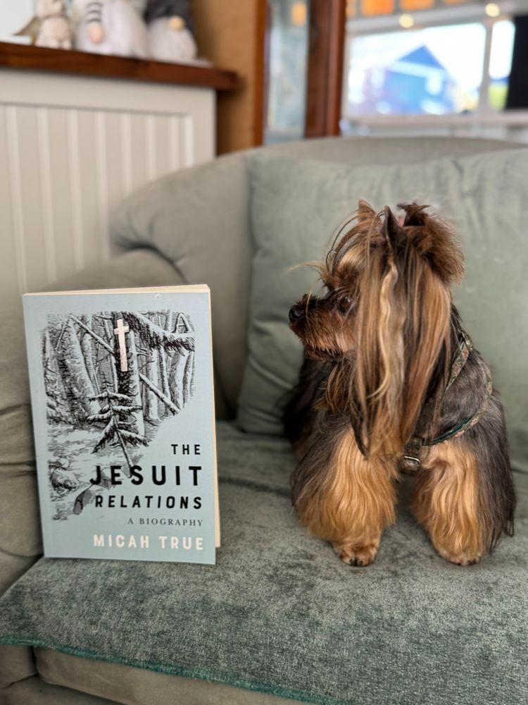 small brown yorkie on a chair looking at a book entitled "The Jesuit Relations a Biography" by Micah True