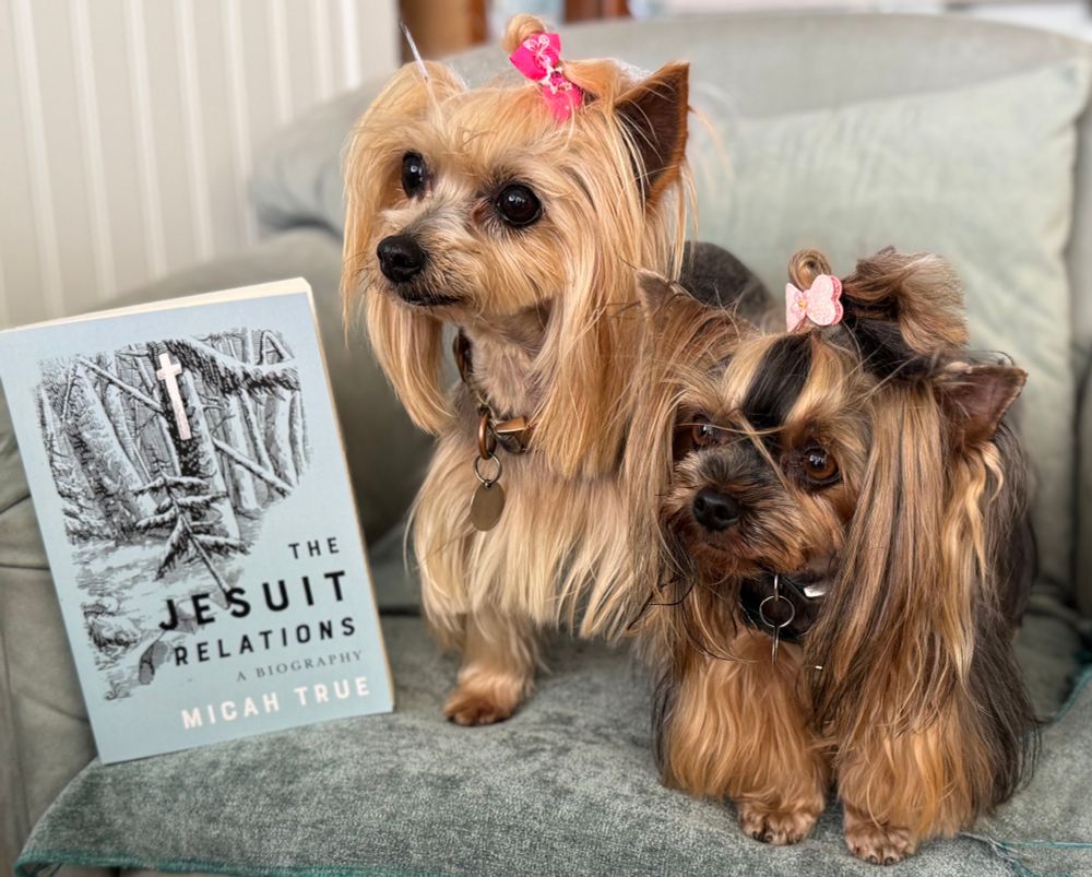 Two adorable yorkies posing next to a book entitled The Jesuit Relations: A Biography.