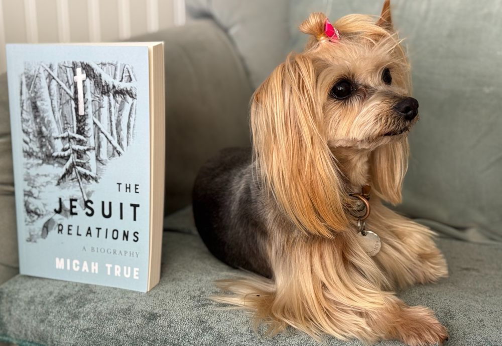 small yorkie lying on a chair next to a book entitled "The Jesuit Relations a Biography" by Micah True. The dog is looking away from the book.