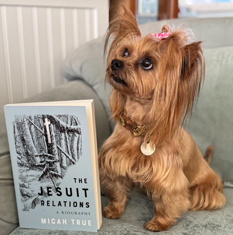small brown yorkie on a chair next to a book entitled "The Jesuit Relations a Biography" by Micah True