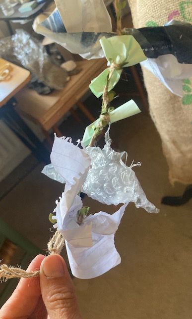 a string of litter