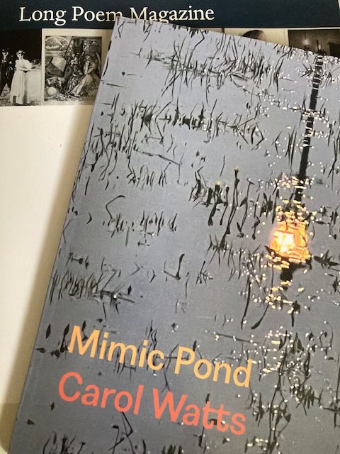 Book cover showing reflection of a street lamp and pond weeds in water. Just showing behind the book is the cover of a magazine which has black and white photos on it. 