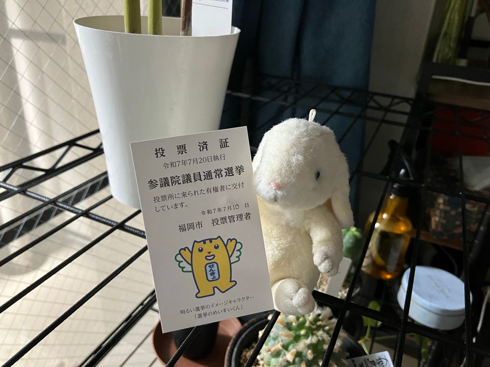 福岡市の投票済証と、それを持っている兎のぬいぐるみ