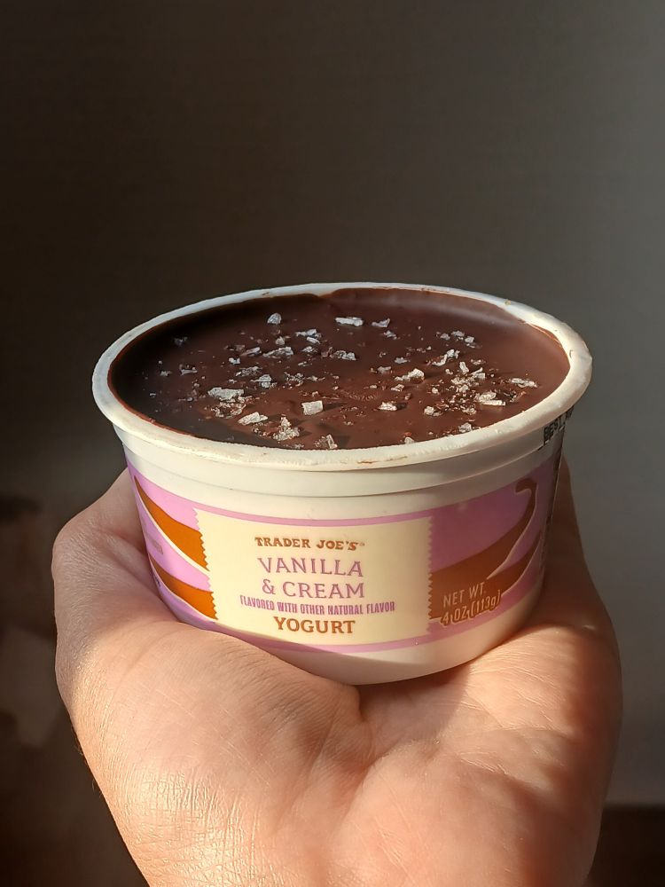 A single-serving container of Trader Joe's vanilla & cream yogurt, with a dark chocolate and sea salt lid.