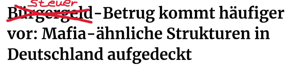 Headline: Bürgergeld (durchgestrichen, ersetzt durch) Steuer-Betrug kommt häufiger vor: Mafia-ähnliche Strukturen in Deutschland aufgedeckt