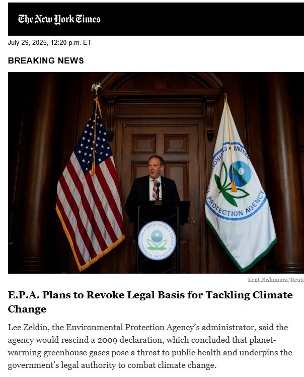 NYT Headline: Text im Skeet (Übersetzung)