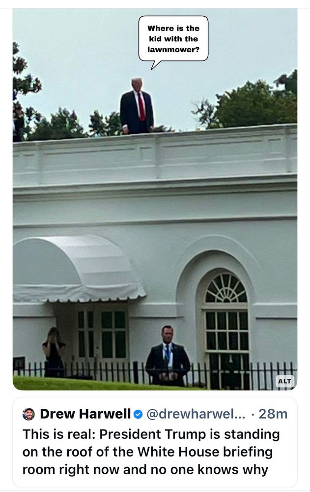 If father was President Trump on the roof of the White House; Drew Harwell's post below it says " this is real. President Trump is standing on the roof of the White House briefing room right now and no one knows why."

A cartoon speech bubble by the president's head has been added, asking "where is the kid with the lawnmower?"