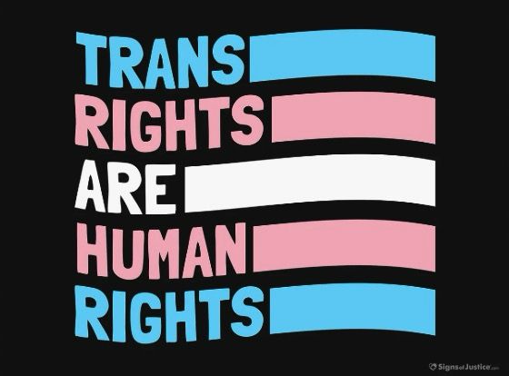 A flag with a black background and wavy lines reads: TRANS RIGHTS ARE HUMAN RIGHTS