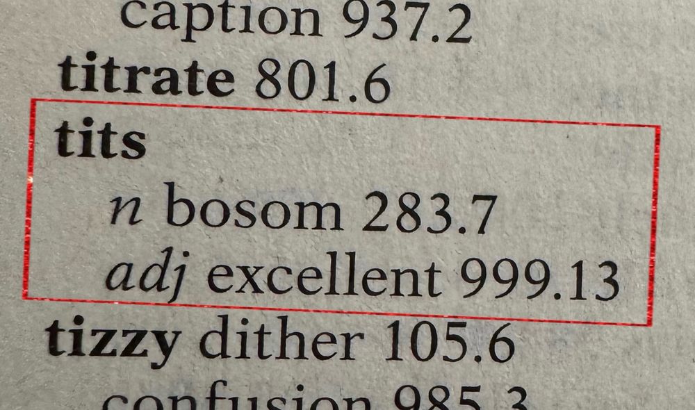 Roget’s Thesis offers to synonyms for “tits:” “bosom” (a noun) or “excellent” (an adjective)