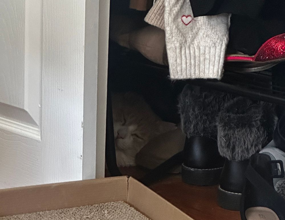 my closet, with orange cat asleep on my shoe 