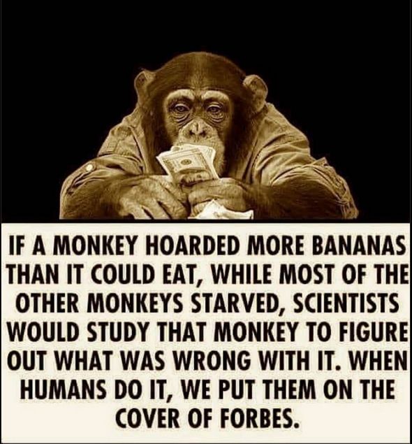 Om en apa samlade på sig mer bananer än den kan äta, samtidigt som de flesta andra aporna svälter, då skulle vetenskapsmän studera denna apa för att försöka lista ut vad det är för fel på den. När människor göra samma sak så hamnar de på omslaget av tidningen Forbes.
