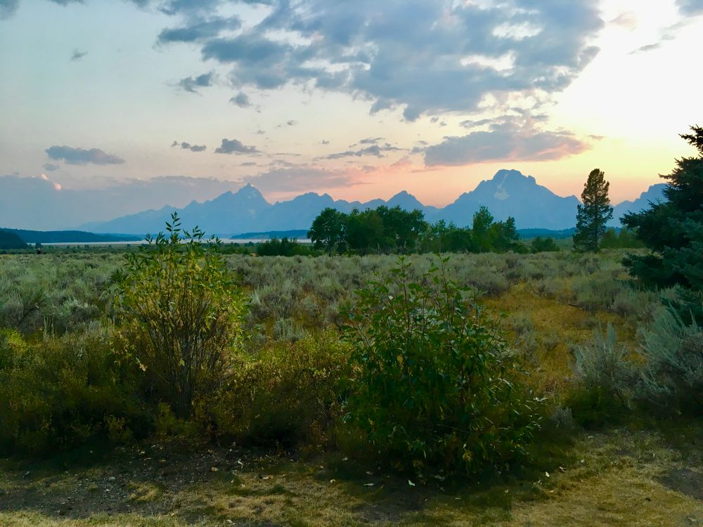 Sunset behind Mt. Moran and other mountains in the Grand Tetons with Jackson Lake the mid ground and some sage and other scrubby plants in the foreground. Mt. Moran is identifiable by its distinctive “skillet” glacier. The sky is purple, yellow, and orange and hazy from forest fires.